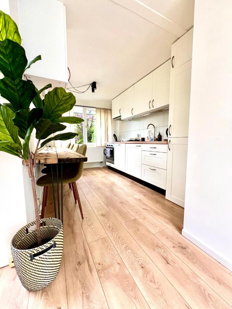 Cozy family chalet with spacious garden in the nature between Amsterdam Haarlem and Schiphol Airport 6