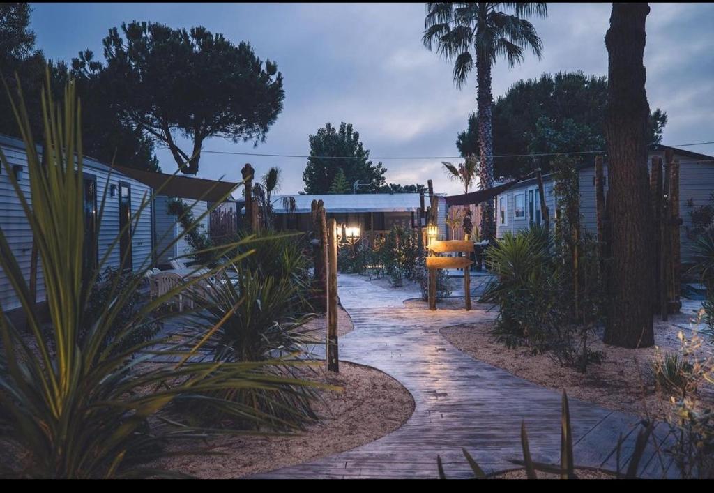 un jardin avec des palmiers et des plantes sur une allée dans l'établissement Mobil home les sables d'or, au Cap d'Agde