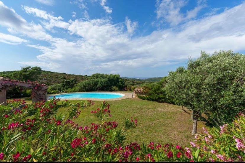- une vue sur la piscine dans le jardin dans l'établissement VILLA VELA MARINA, à Santa Teresa Gallura