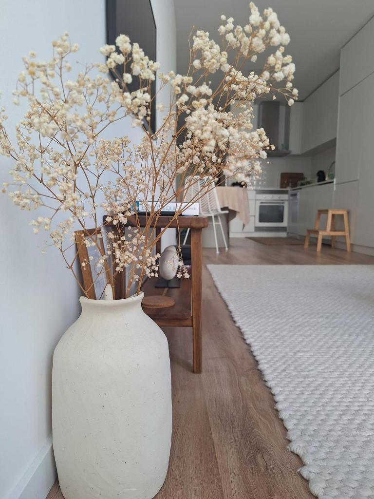 Luxury Green Apartment in The Historic Centre Aveiro 4