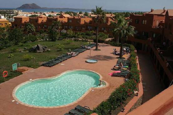 Oasis Royal 7