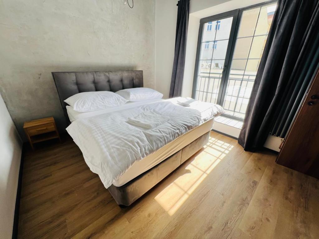 Loft Cejl 7 Apartments 3