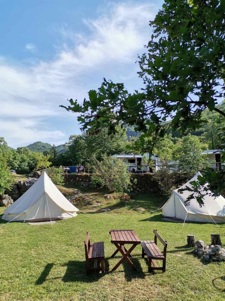 Camp Oaza, Lipa 4