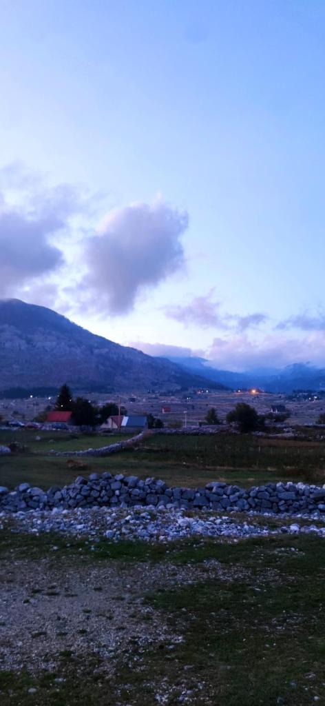 Alpe Residence Korita 4