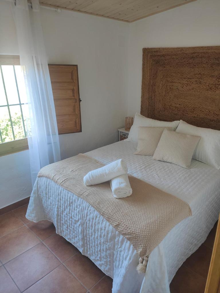 Casa Olivar 30 8
