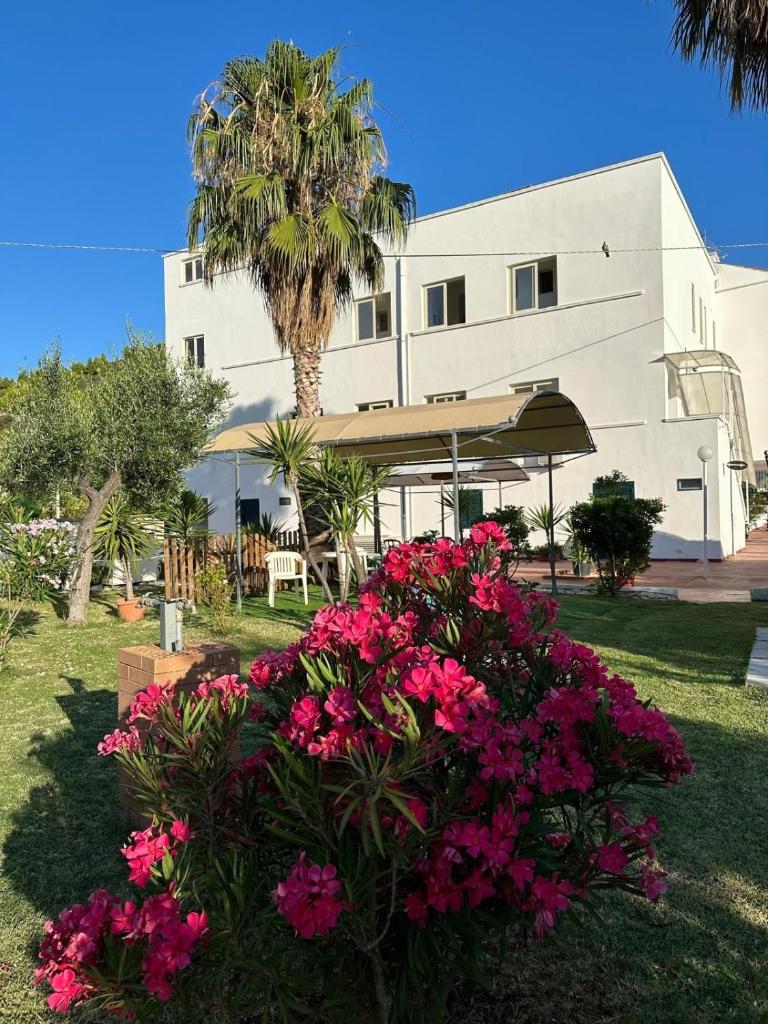 un bâtiment blanc avec des fleurs roses devant dans l'établissement Hotel Ponte, à Vieste