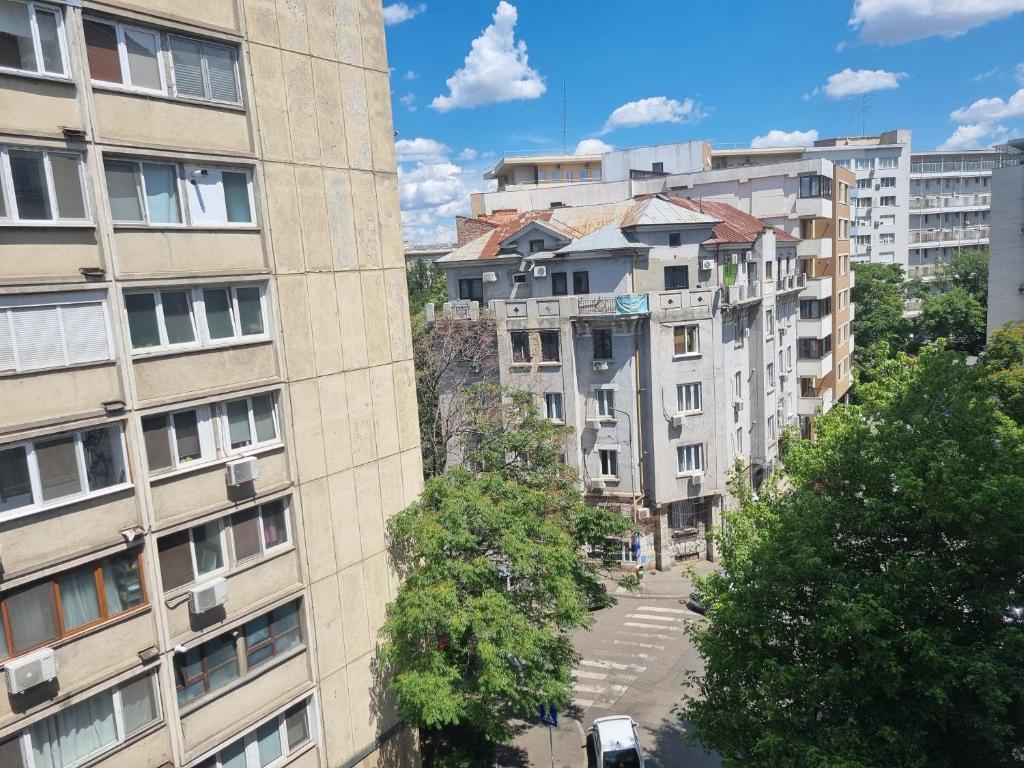 Cismigiu Boheme Apartment 6