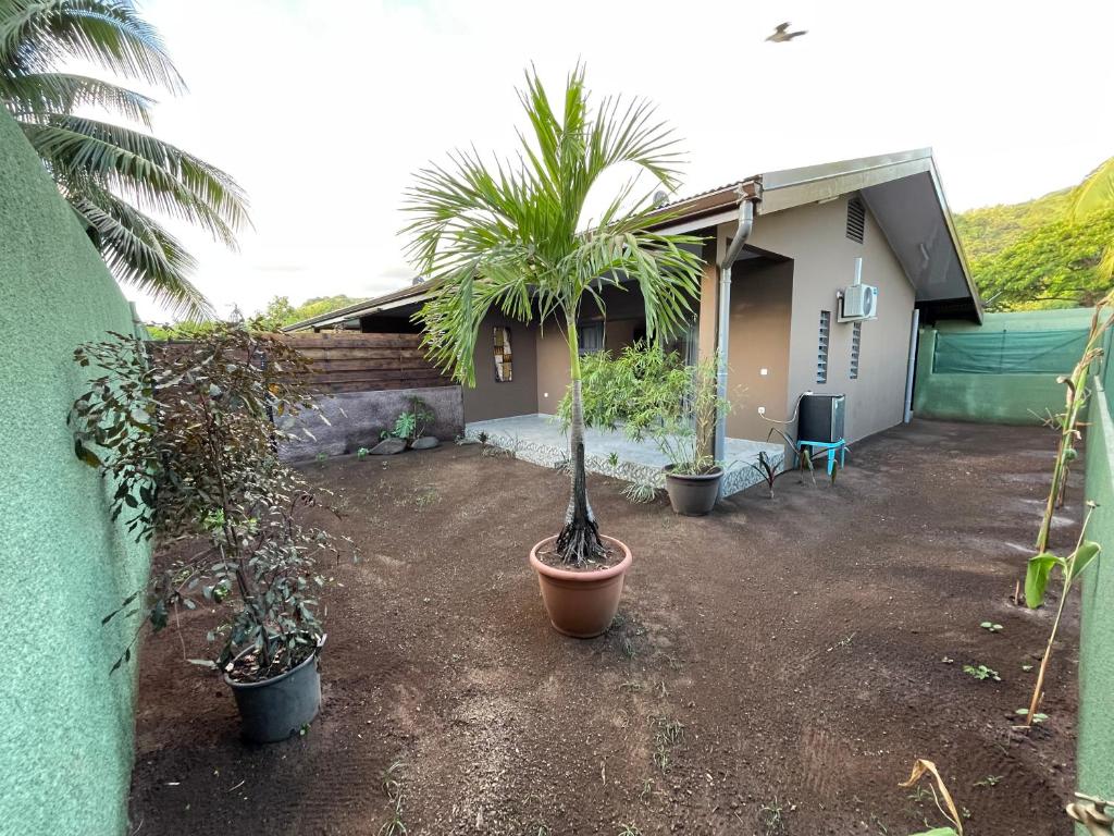 PUNA Lodge 6