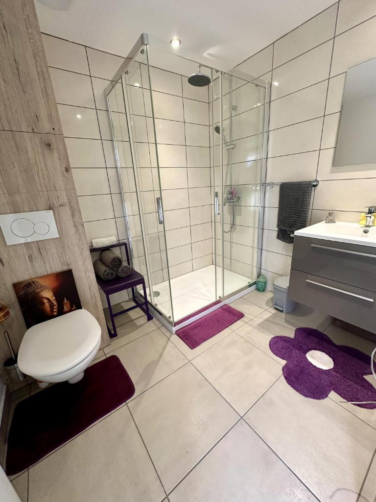 une salle de bain avec une douche, des toilettes et un lavabo dans l'établissement Gite Cosy Forme et Bien-etre, à Masseret