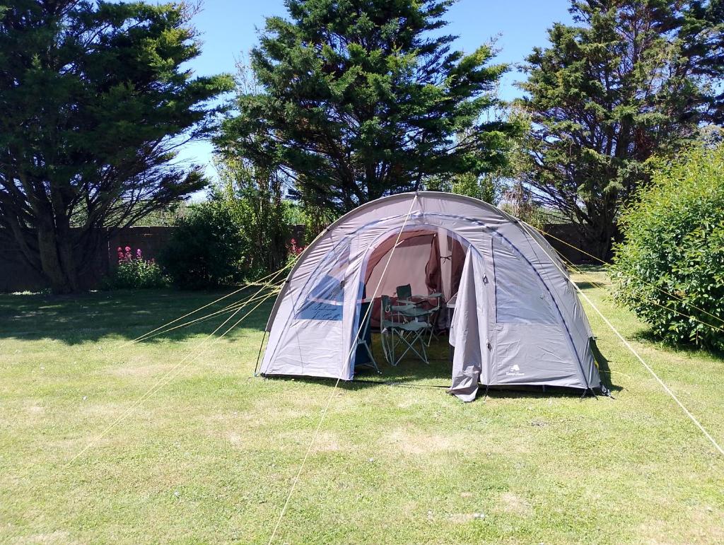 une tente dans l'herbe d'une cour dans l'établissement tente en baie de somme chez l habitant, à Cayeux-sur-Mer
