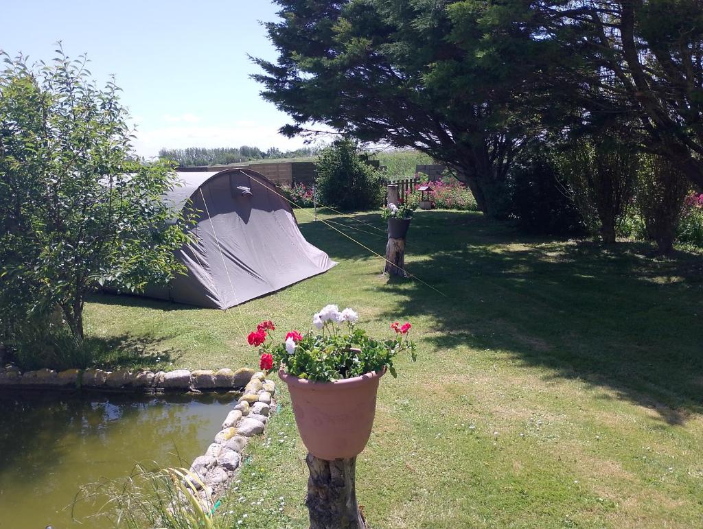 une tente dans une cour avec un pot de fleurs à côté d'un étang dans l'établissement tente en baie de somme chez l habitant, à Cayeux-sur-Mer