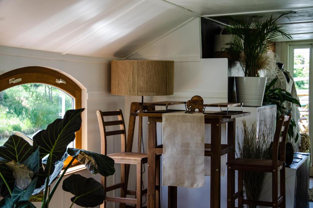 une salle à manger avec une table, des chaises et des plantes dans l'établissement Péniche La Messagère, à Villeneuve-lès-Béziers