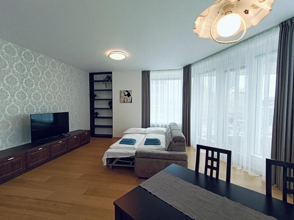 SAG Panorama City Apartment 3 rooms free parking Free wifi 7