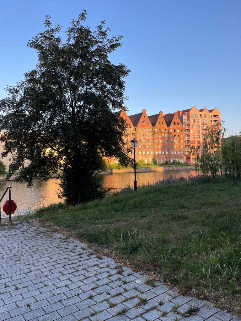 Motława Apartament 5