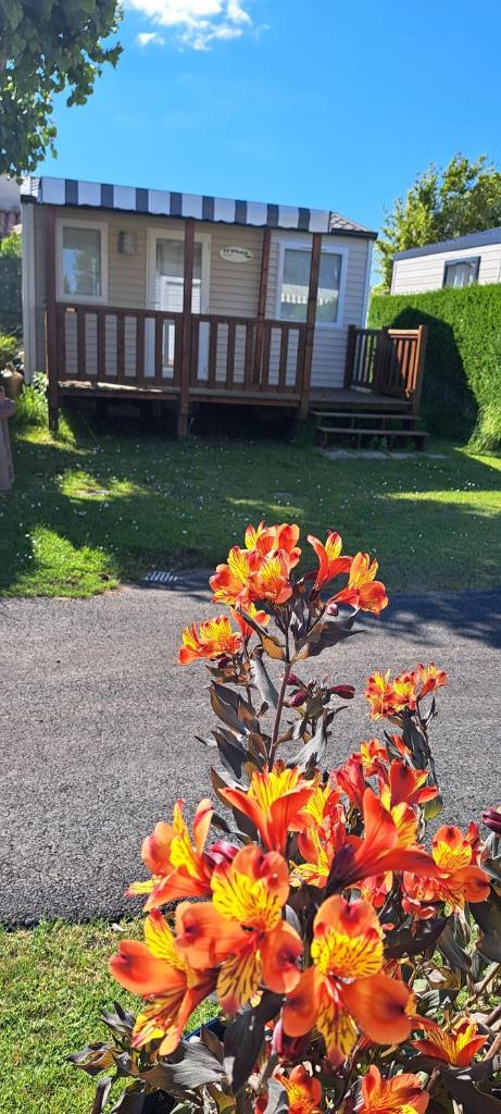 Photo de la galerie de l'établissement Mobile home à louer Les Sables d'Olonne - Vendée, à La Pironnière