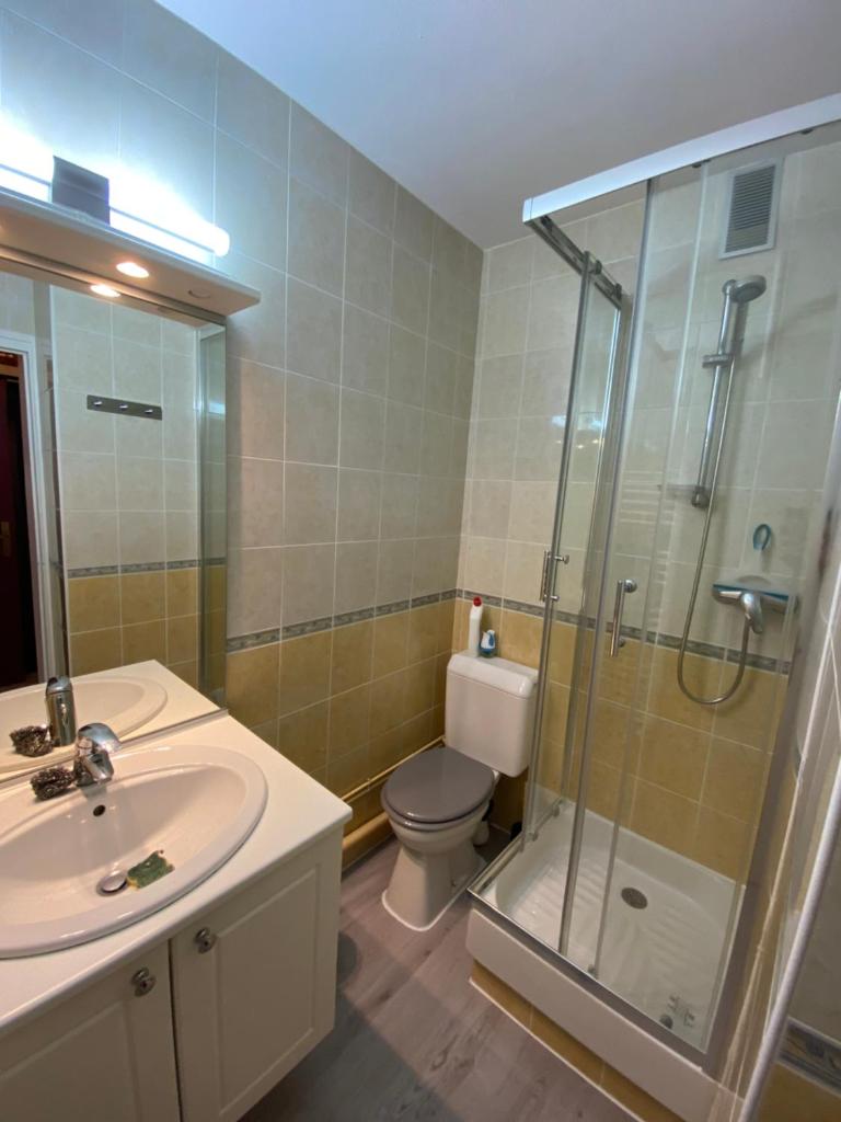 une salle de bain avec toilettes, lavabo et douche dans l'établissement STUDIO AUX PIEDS DES PISTES, à Saint-Étienne-en-Dévoluy