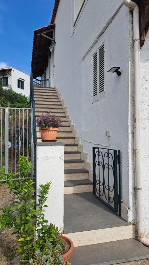 Casa Mia 6