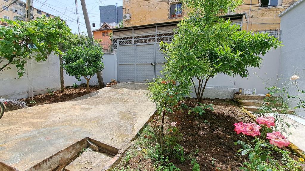 Adi's house 6