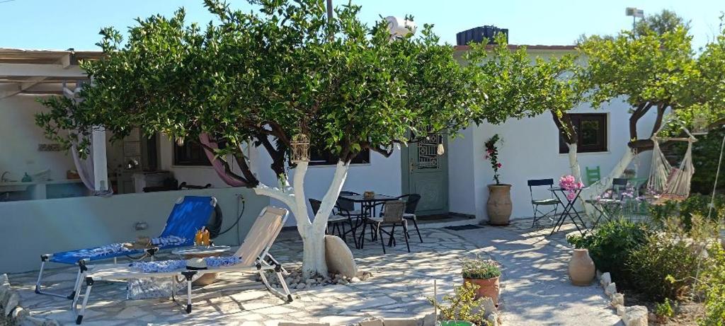 Ο Κήπος The Garden 1