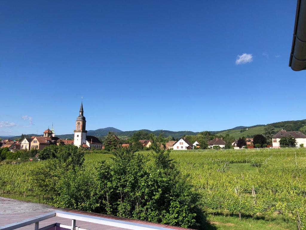 Domaine Rosfelder - locations de gîte et cabane insolite 3