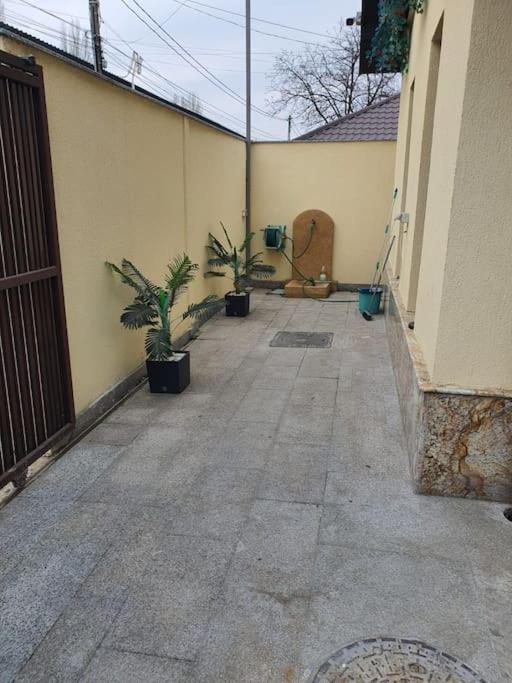 Casa cu flori 8