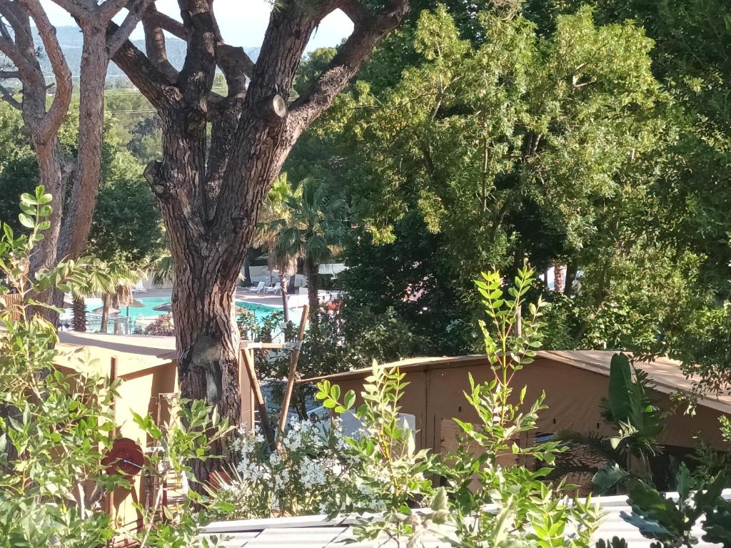Photo de la galerie de l'établissement Mobilhome Fréjus Camping Gorge Vent, à Fréjus 37 autres photos
