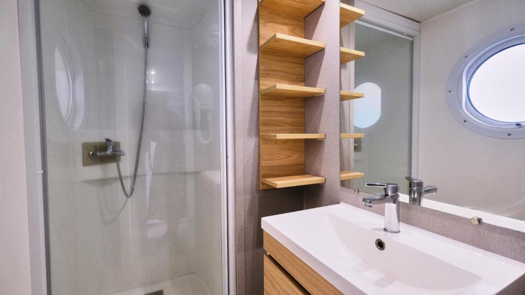 une salle de bain avec un lavabo, une douche et un miroir dans l'établissement Domaine Les Chênes Blancs, à Saint-Saturnin-lès-Apt