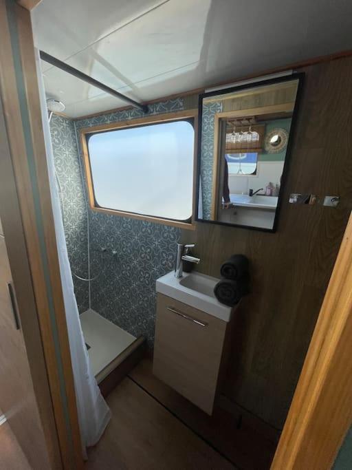 une petite salle de bain avec un lavabo et une douche dans l'établissement Péniche cocoun, à Valence