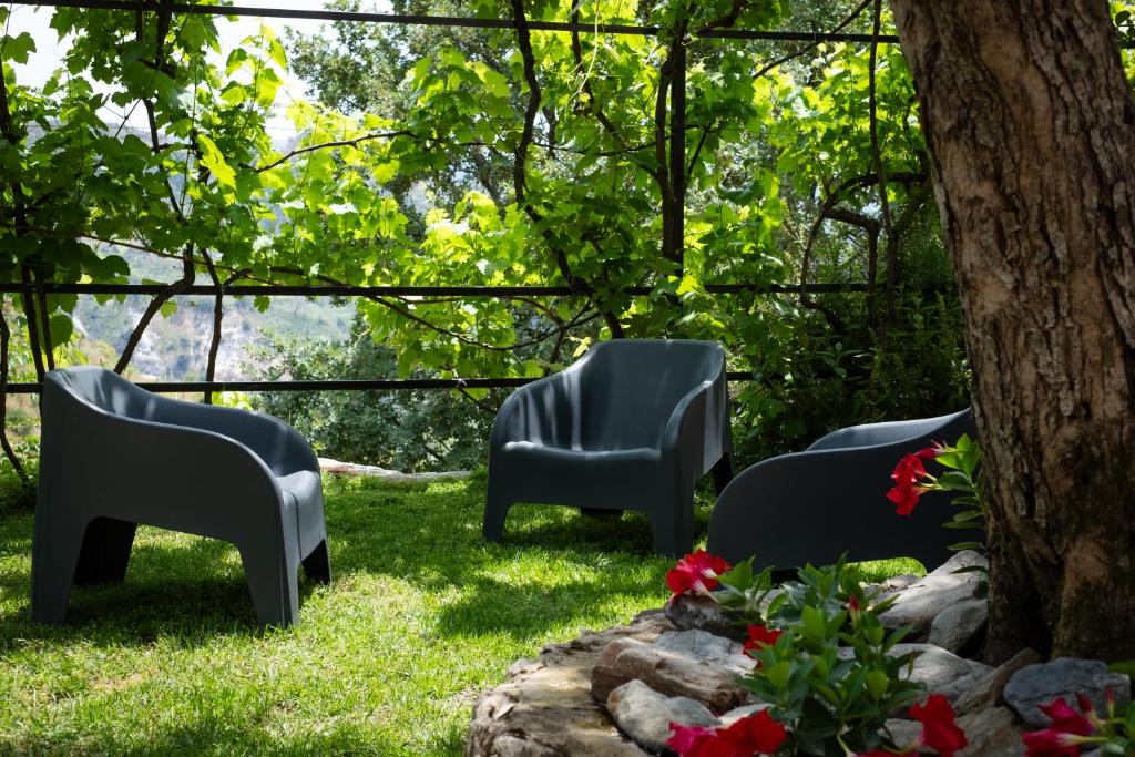 trois chaises assises dans l'herbe à côté d'un arbre dans l'établissement Locanda degli Ulivi, à Mammola 82 autres photos