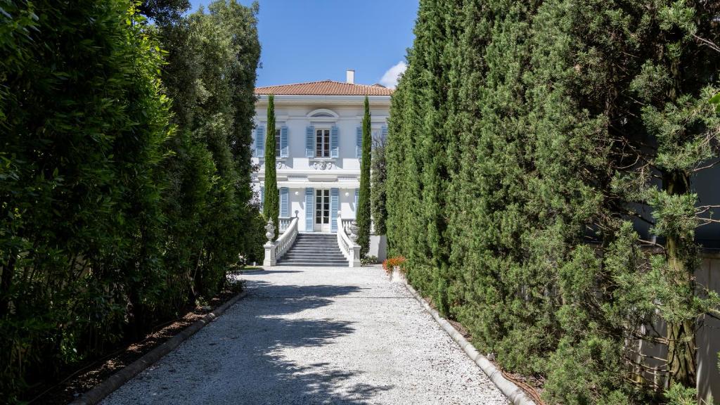 un chien marchant sur un chemin devant une maison blanche dans l'établissement VILLA LA PERLA BIANCA 10, Emma Villas, à Empoli
