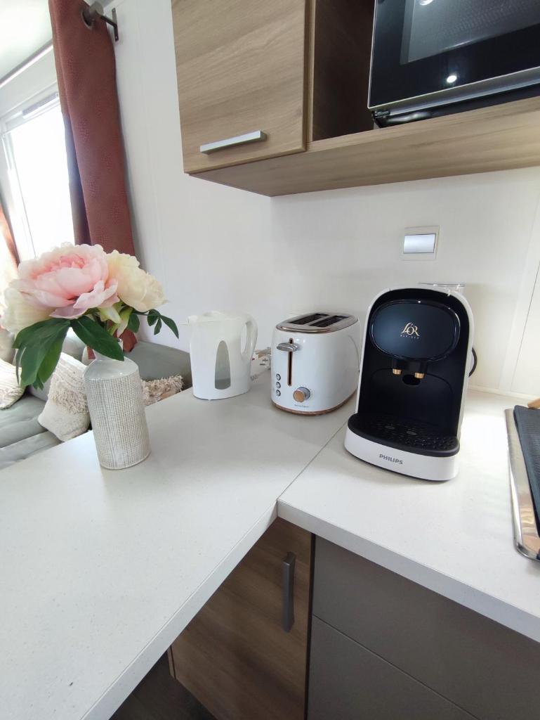 - un comptoir de cuisine avec un vase de fleurs et un grille-pain dans l'établissement MOBIL HOME 40M2 ECRIN DE VERDURE, à Rocbaron