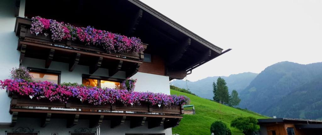 Hinterreithlehen - Ferienwohnung am Bauernhof