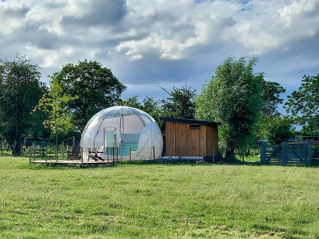 une grande tente dôme dans un champ avec un hangar dans l'établissement La Bulle des alpagas, à Herry