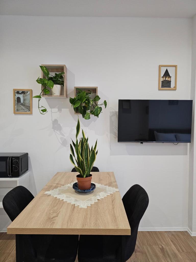 Apartment's City Center Aquilo 5
