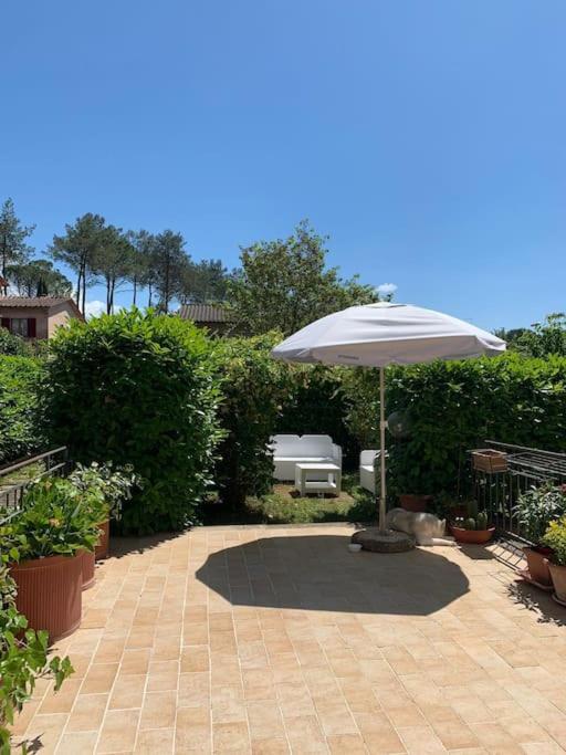 La casa di Gaga - Appartamento nel Chianti senese 8