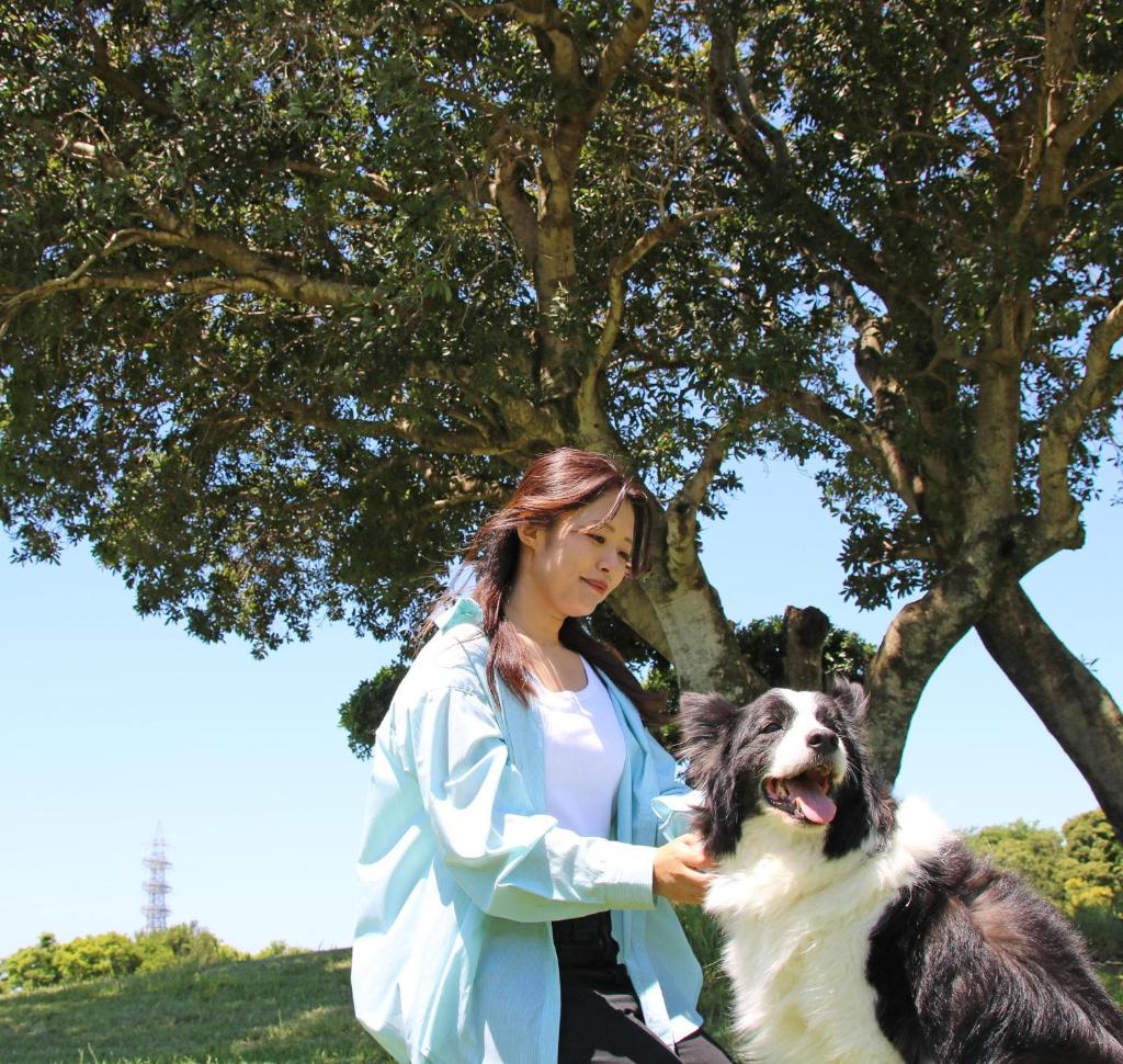 une femme qui pèche un chien dans un parc dans l'établissement Nanki Shirahama Dog Paradise, à Asso