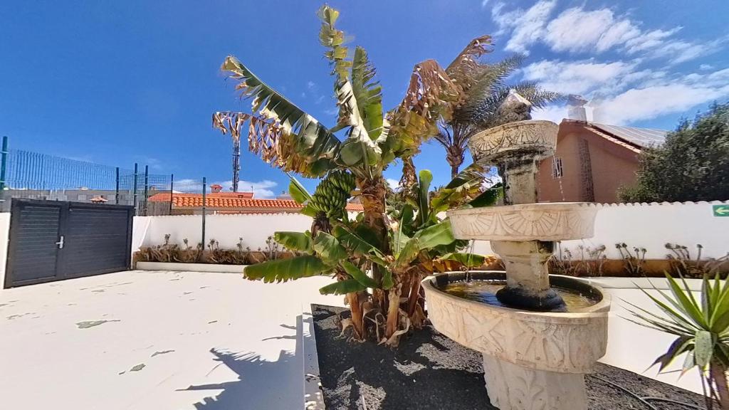 Náutico - Boutique Homes - City Center - Adults Only 6