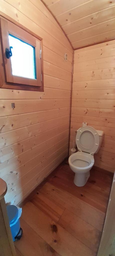 une salle de bain avec toilettes dans une cabane en bois dans l'établissement Roulotte verte, à Pouilly-sur-Vingeanne