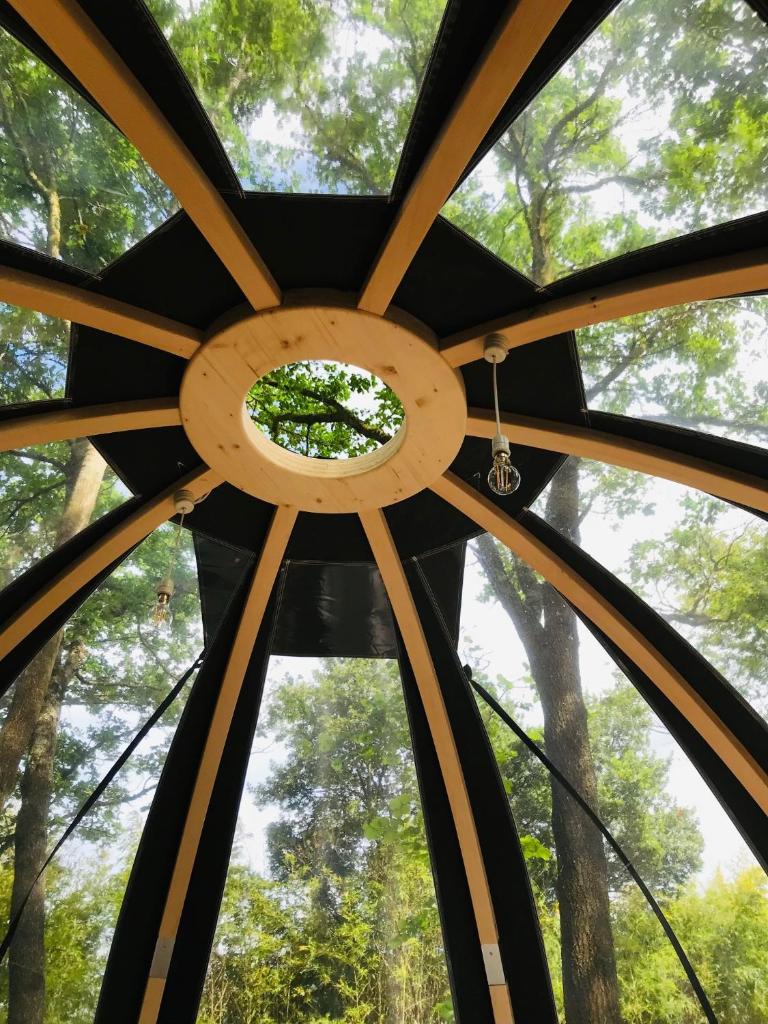 une fenêtre circulaire dans une forêt avec des arbres en arrière-plan dans l'établissement Ô cocon del Lauragués, à Ricaud