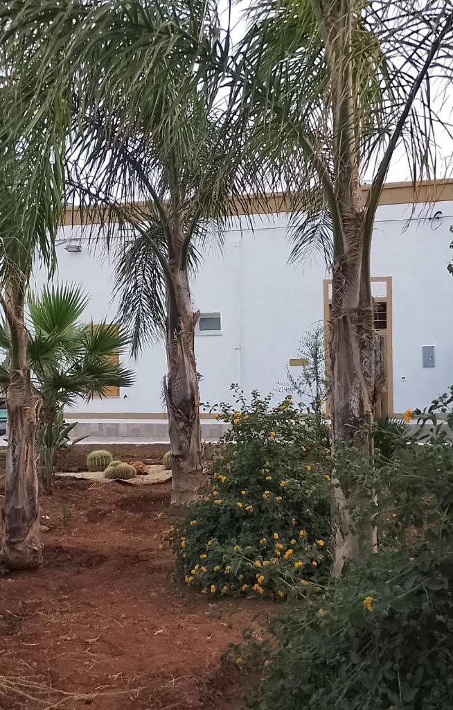 Casa Vacanza L'Agrumeto 6
