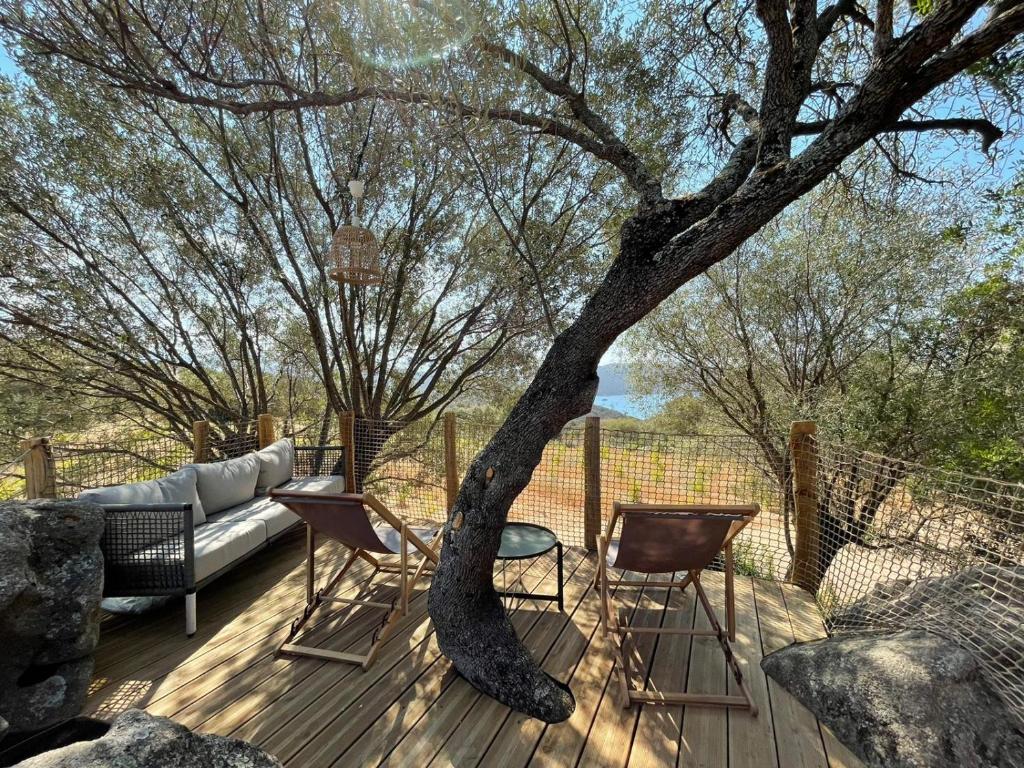 un arbre assis sur une terrasse avec un canapé et des chaises dans l'établissement A Malgrana - Tente lodge hébergement insolite, à Coti-Chiavari