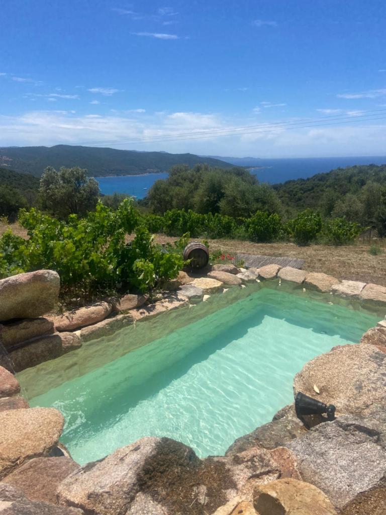 une piscine avec vue sur un lac dans l'établissement A Malgrana - Tente lodge hébergement insolite, à Coti-Chiavari