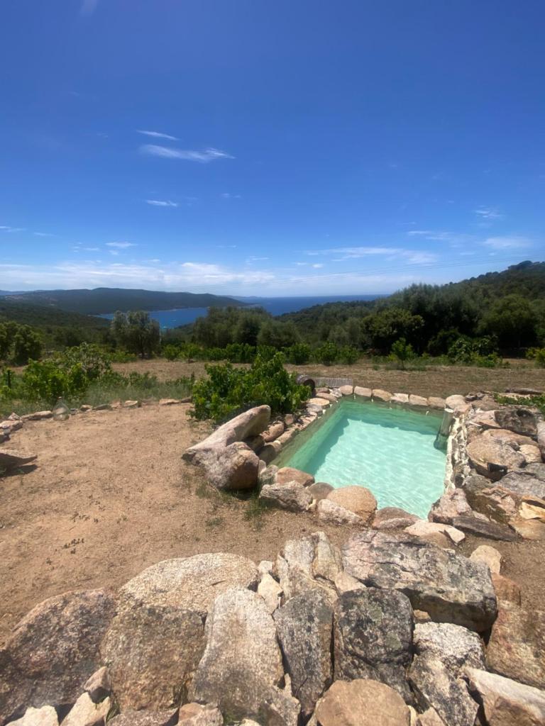 une piscine dans un champ avec des rochers dans l'établissement A Malgrana - Tente lodge hébergement insolite, à Coti-Chiavari