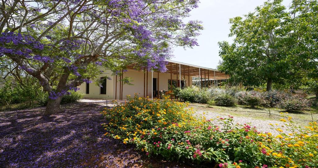 une maison avec des fleurs devant dans l'établissement Odegos Villa Aira, à Torre dell'Orso
