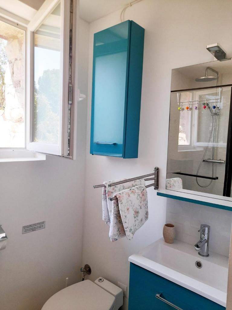 La salle de bains est pourvue d'une armoire bleue au-dessus des toilettes. dans l'établissement Mazet 2 pers dans havre de paix cévennol, à Laroque