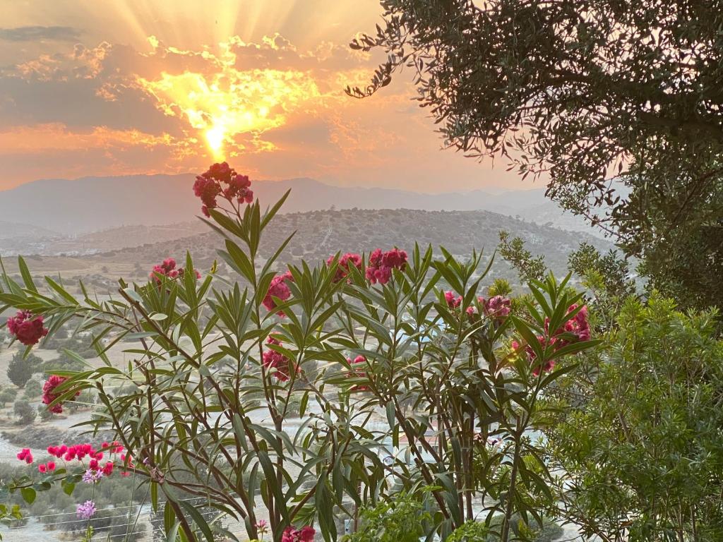Endless Sunset 7