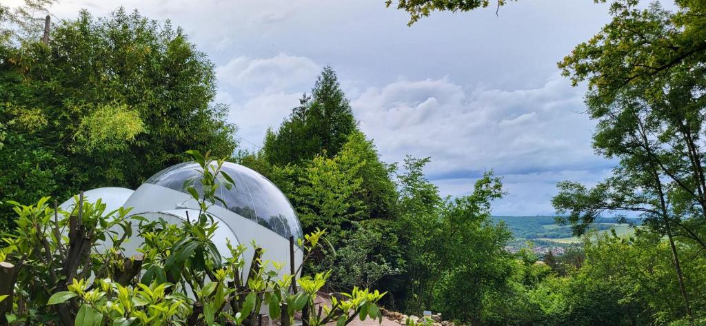 Photo de la galerie de l'établissement Les Bulles du Coq de Champagne, à Dormans