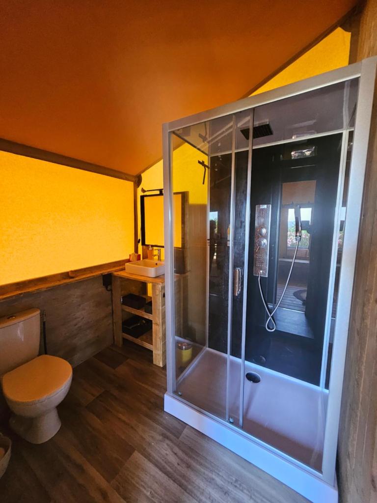 une salle de bain avec une douche avec des toilettes et un lavabo dans l'établissement DOMAINE DU CHENE, à Campagnan
