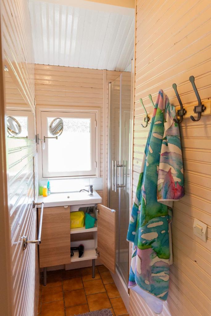 une salle de bain avec un lavabo et un rideau de douche dans l'établissement Domaine de Guillaume, à Auquainville