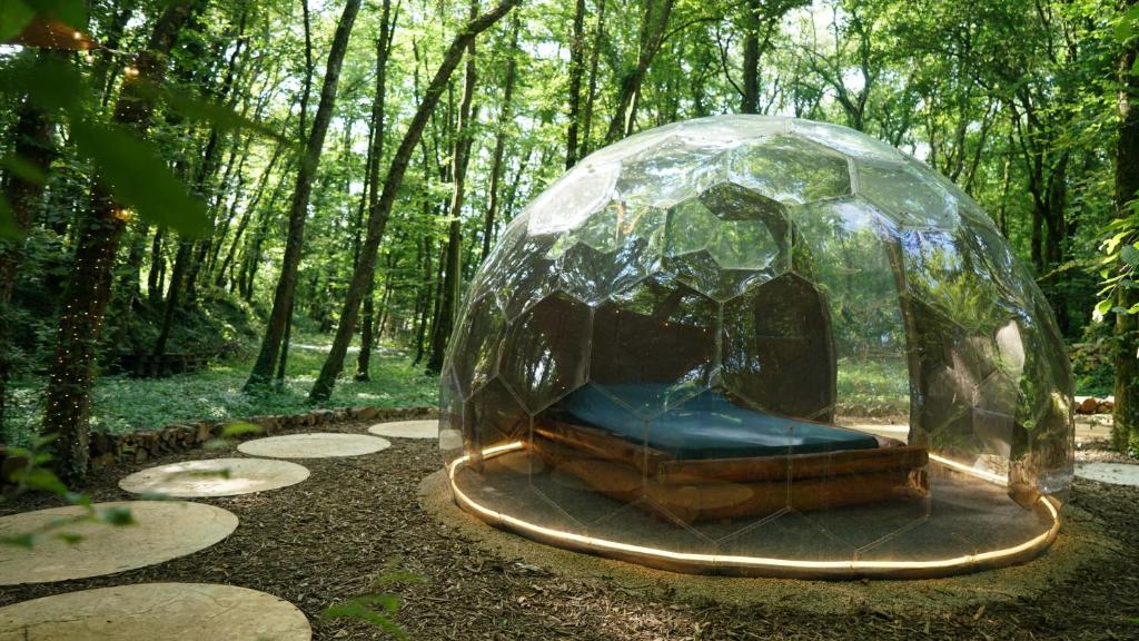 une chambre d'iguane de verre au milieu d'une forêt dans l'établissement Ô Pays Des Bois - Hébergements insolites en pleine nature, à Parmilieu
